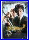 HARRY_POTTER_Original_UKRAINE_Movie_Poster_27x40_Exclusive_on_Ebay_01_dm