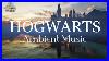 Harry_Potter_Ambient_Music_Hogwarts_Relaxing_Studying_Sleeping_01_nbhz