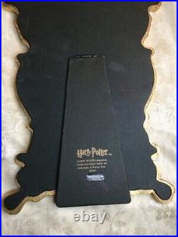 Harry Potter Gold MIRROR Of ERISED 14X9 Original Warner Bros. 2000 17 Stars
