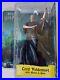 Harry_Potter_Lord_Voldemort_Goblet_Of_Fire_Figure_Series_1_NECA_Sealed_MIB_Rare_01_ysw