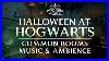 Harry_Potter_Music_U0026_Ambience_Halloween_At_Hogwarts_Common_Rooms_With_Asmr_Weekly_01_qk