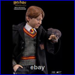 Harry Potter Star Ace Toys 1/6th 1st Edition Brand New Factory Sealed Sorcerers