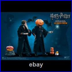 Harry Potter Star Ron Weasley Ace Toys 1/6 Brand New Factory Sealed Ltd Edition