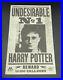 Harry_Potter_Undesirable_No_1_Flyer_Screen_Used_Prop_With_COA_01_rayr