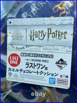 Harry Potter Wizarding World Ichiban Kuji Last Prize Frog Choco Cushion Import