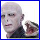 Original_officially_licensed_harry_potter_lord_voldemort_large_bust_Nagini_UK_01_oe